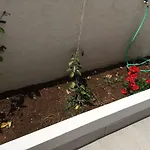 Gelsomino بيت للعطل *