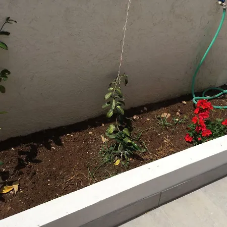 Gelsomino Дом отдыха *